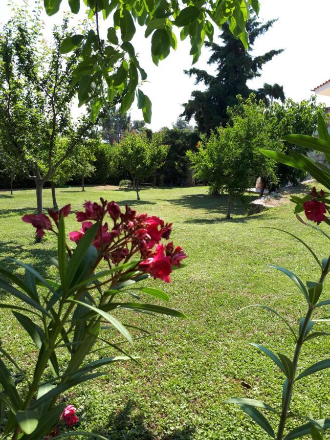 Villa George Afytos Buitenkant foto
