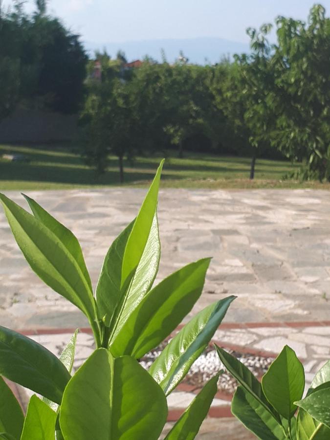 Villa George Afytos Buitenkant foto