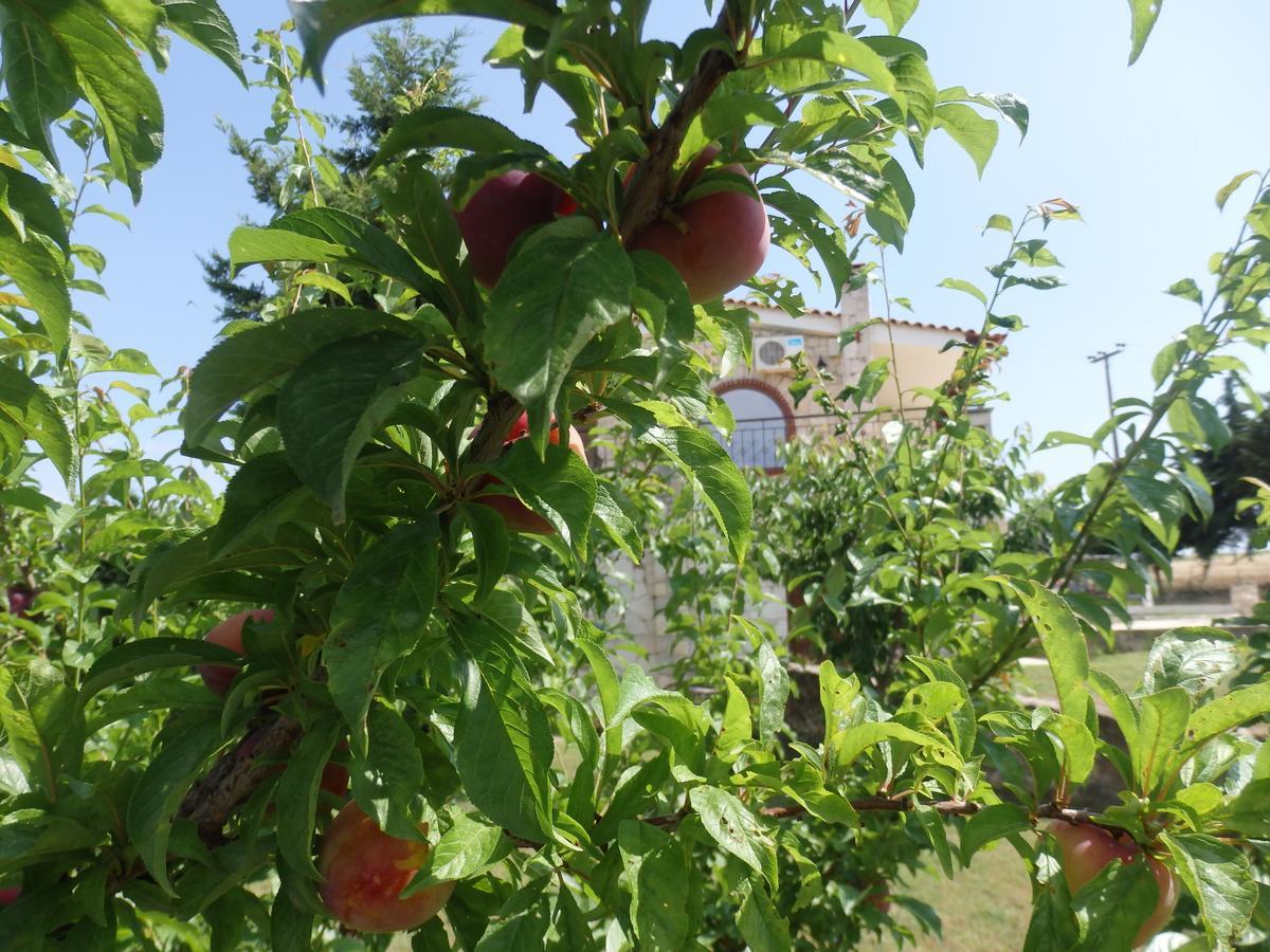 Villa George Afytos Buitenkant foto